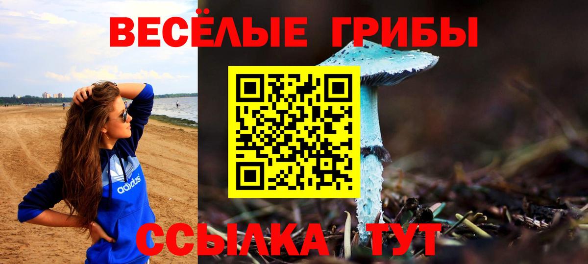 Галлюциногенные грибы MAGIC MUSHROOMS  Вход с VPN  Галлюциногенные грибы MAGIC MUSHROOMS  Туапсе 